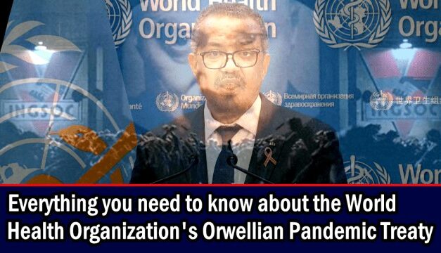 Everything you need to know about the World Health Organization’s Orwellian Pandemic Treaty