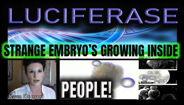 LUCIFERASE- STRANGE EMBRYO’S GROWING INSIDE PEOPLES BODIES AND MORE.. Karen Kingston