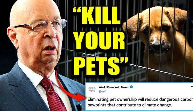 The People’s Voice: WEF Wants To Slaughter Millions of Pet Cats and Dogs To Fight Climate Change