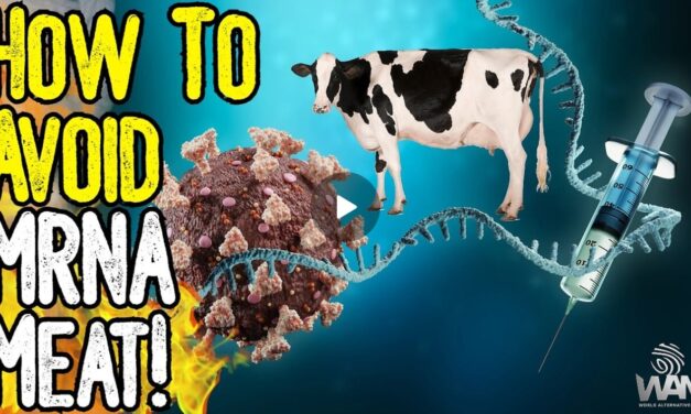 HOW TO AVOID MRNA MEAT! – The Fight Against Farmers Continues!