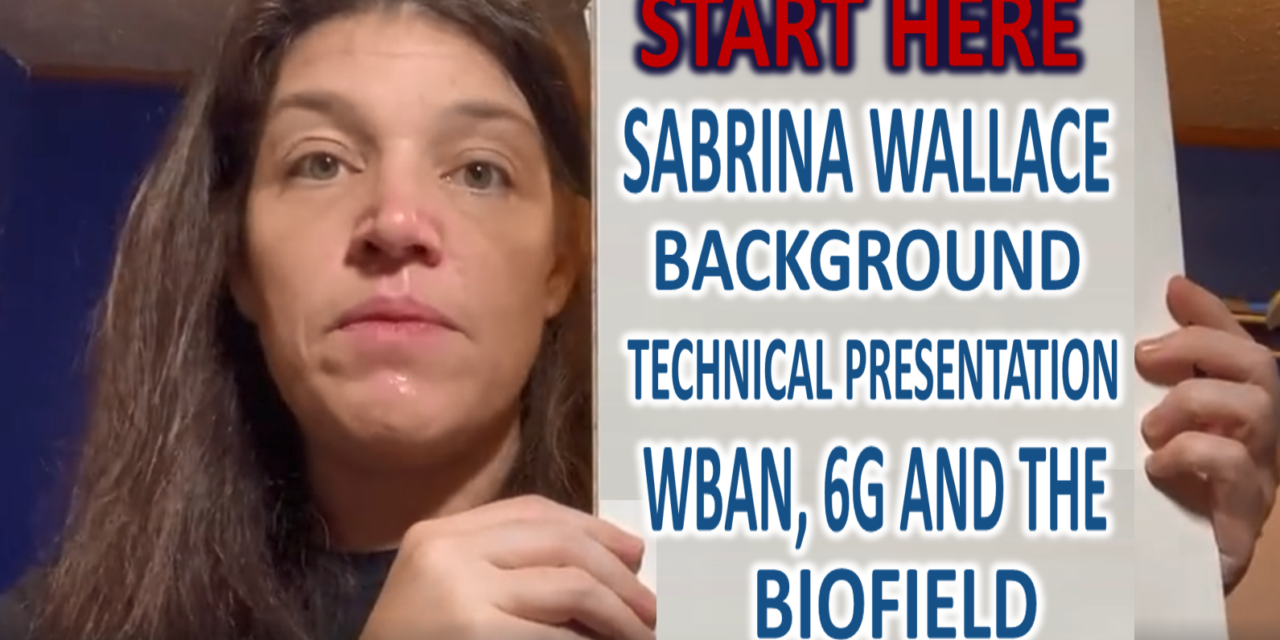 Technical Presentation: WBAN on a 6gloPAN and your electromagnetic body part