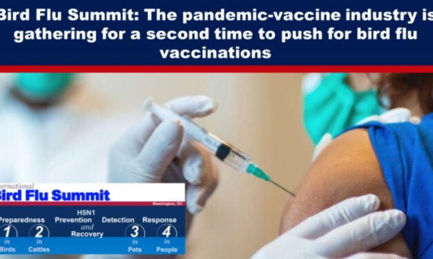 Bird Flu Summit: The pandemic-vaccine industry is gathering for a second time to push for bird flu vaccinations