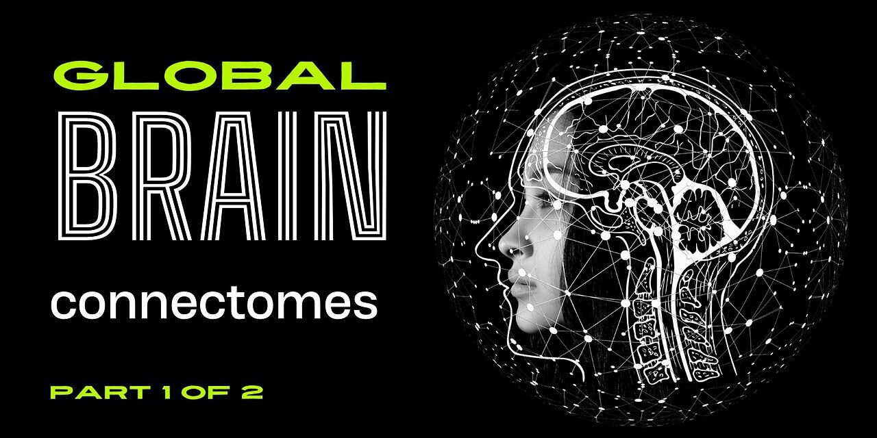 global brain connectomes 1