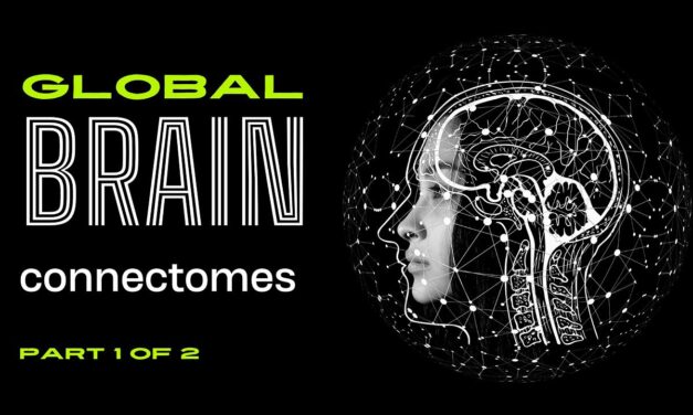 global brain connectomes 1
