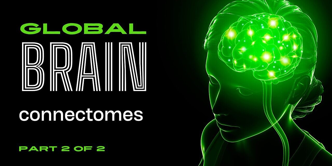 global brain connectomes 2