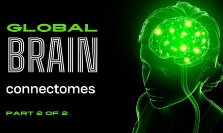 global brain connectomes 2
