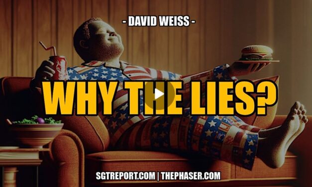 WHY THE LIES? — David Weiss