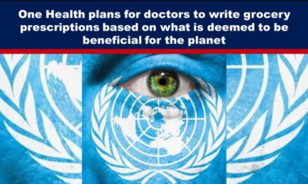 One Health plans for doctors to write grocery prescriptions based on what is deemed to be beneficial for the planet