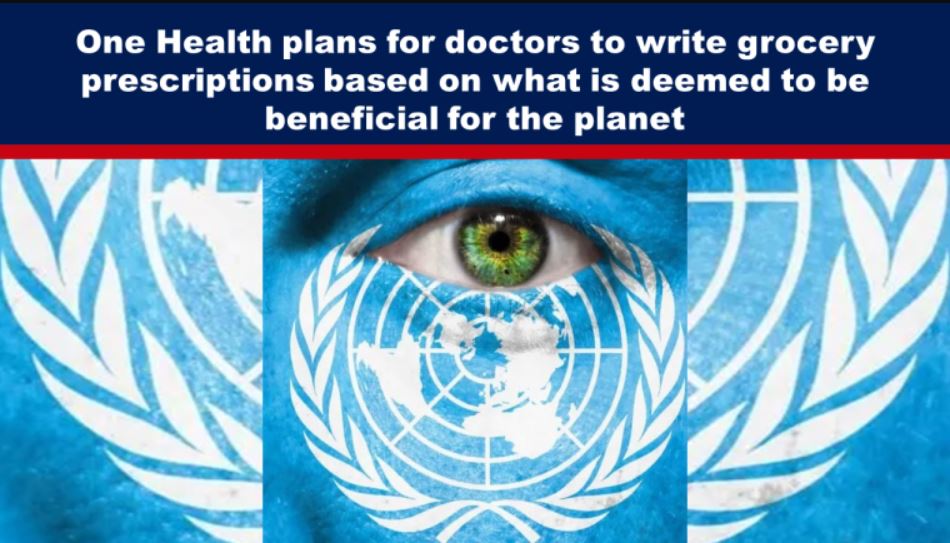 One Health plans for doctors to write grocery prescriptions based on what is deemed to be beneficial for the planet