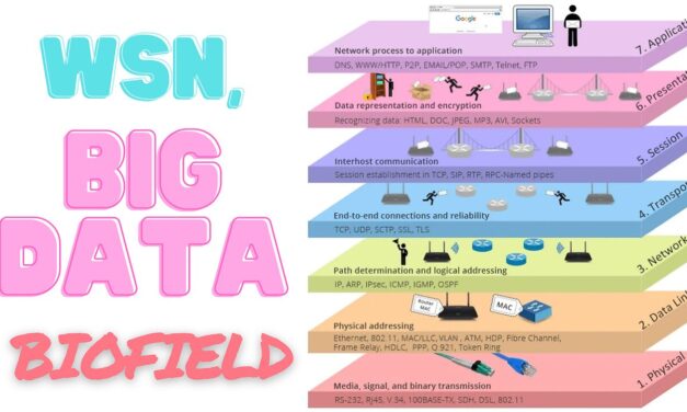 WSN, Big Data Biofield