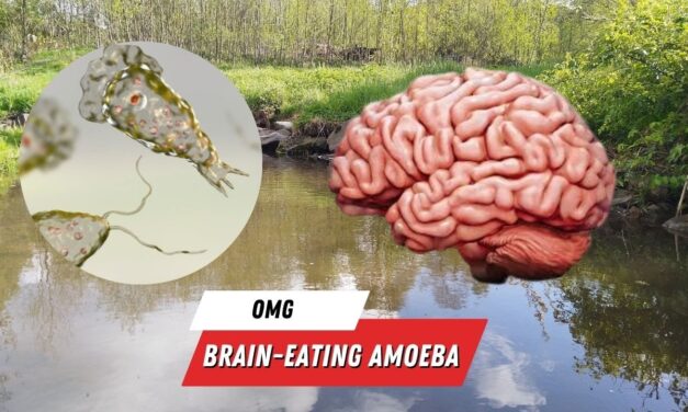 Israel Treats First Living Brain-Eating Amoeba Patient