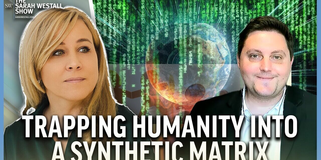 Global Cult’s Military Program & Synthetic Matrix Trapping Humanity w/ Prof. David A Hughes