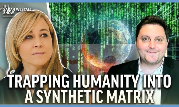 Global Cult’s Military Program & Synthetic Matrix Trapping Humanity w/ Prof. David A Hughes