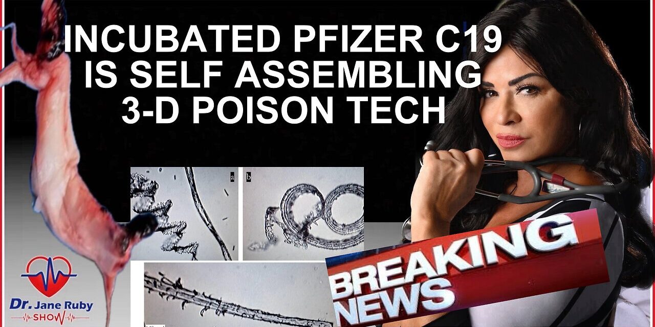 INCUBATED PFIZER C19 SELF-ASSEMBLE INTO 3D POISON