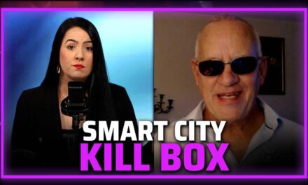 Maria Zeee: Weapons Expert Exposes Smart City Kill Box