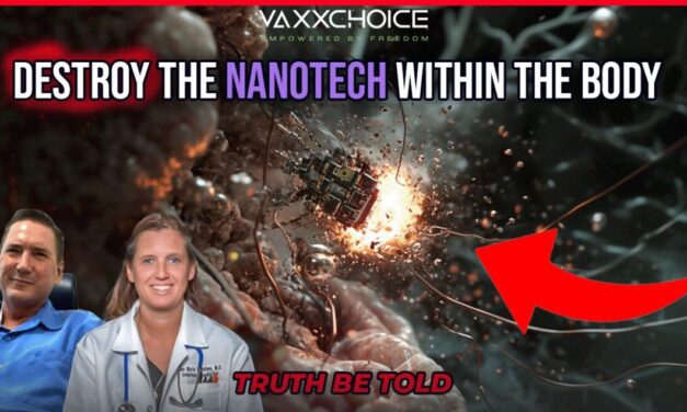 Destroying Nano-Tech Within the Body with Dr. Ana Mihalcea