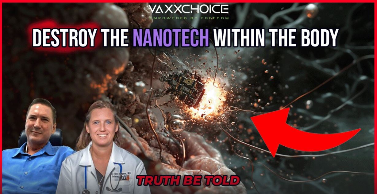 Destroying Nano-Tech Within the Body with Dr. Ana Mihalcea