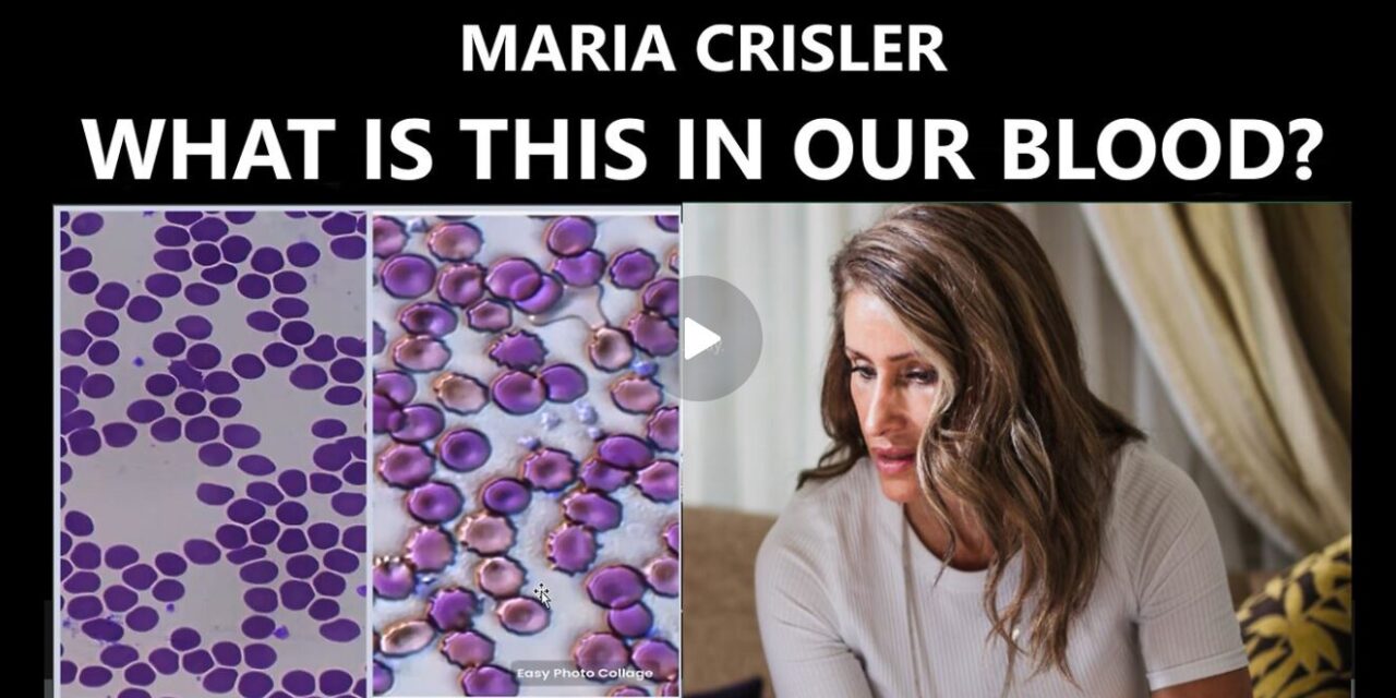 MARIA CRISLER – RAISING FREQUENCY VIA ORGANIC AND SYNTHETIC PARASITIC REMEDIATION