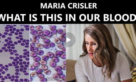 MARIA CRISLER – RAISING FREQUENCY VIA ORGANIC AND SYNTHETIC PARASITIC REMEDIATION