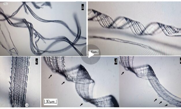 Recent Study Shows Self-Assembly Nanobots in the COVID-19 Injectables