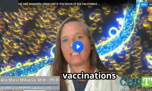 Blinking lights and self assembly observed in the blood of the vaccinated….