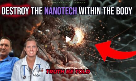 Destroying Nano-Tech Within the Body with Dr. Ana Mihalcea