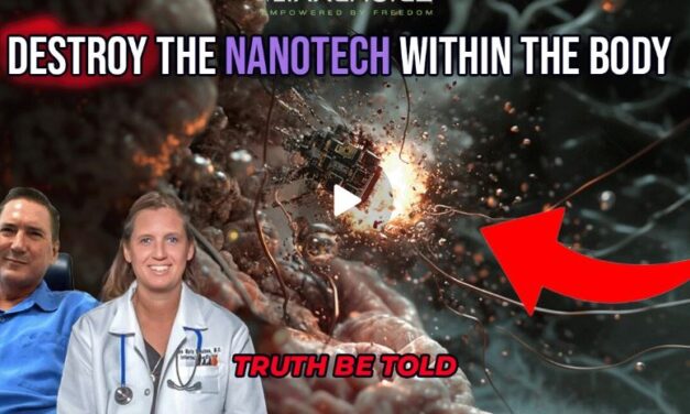 Destroying Nano-Tech Within the Body with Dr. Ana Mihalcea