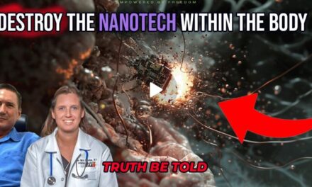 Destroying Nano-Tech Within the Body with Dr. Ana Mihalcea