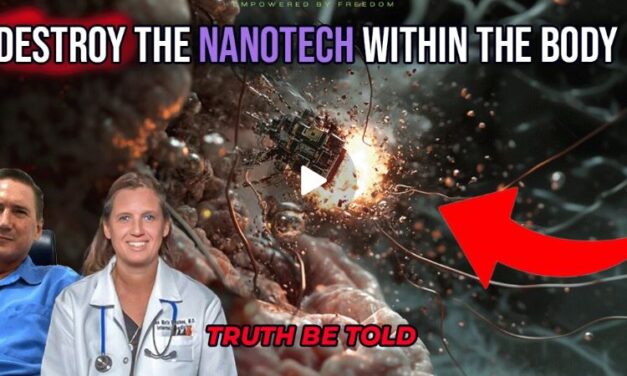 Destroying Nano-Tech Within the Body with Dr. Ana Mihalcea