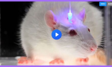 Optogenetics and the Secret Worldwide Nanotech Experiment | Greg Reese