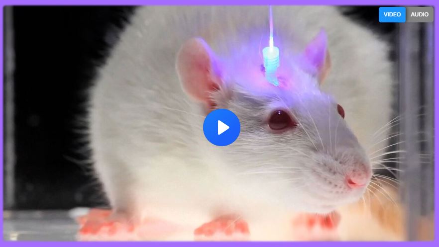 Optogenetics and the Secret Worldwide Nanotech Experiment | Greg Reese