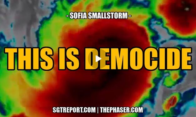 THIS IS DEMOCIDE — Sofia Smallstorm