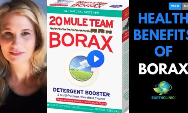 The Surprising Health Benefits and Uses of Borax – Earth Clinic