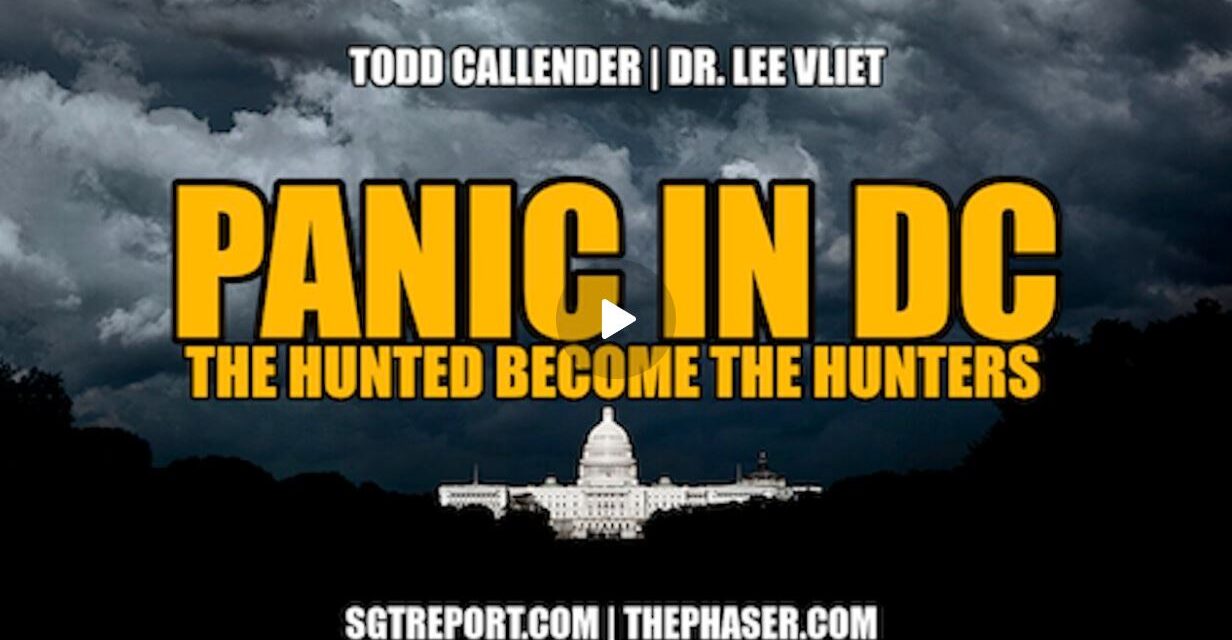 PANIC IN DC: THE HUNTED HAVE BECOME THE HUNTERS — Callender | Vliet