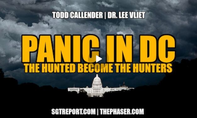 PANIC IN DC: THE HUNTED HAVE BECOME THE HUNTERS — Callender | Vliet