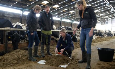 Arla, who supply Tesco, Morrisons and Aldi, are trialling Bovaer on their dairy cattle