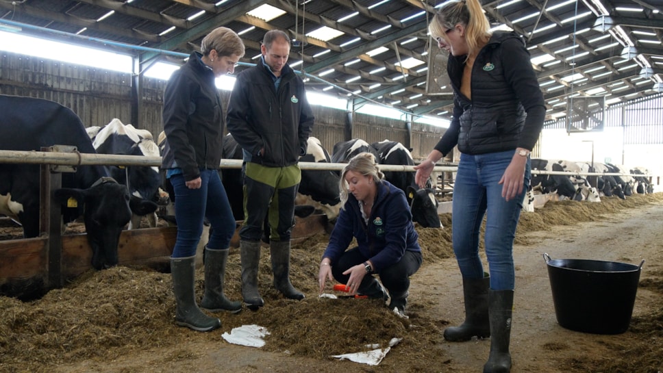 Arla, who supply Tesco, Morrisons and Aldi, are trialling Bovaer on their dairy cattle