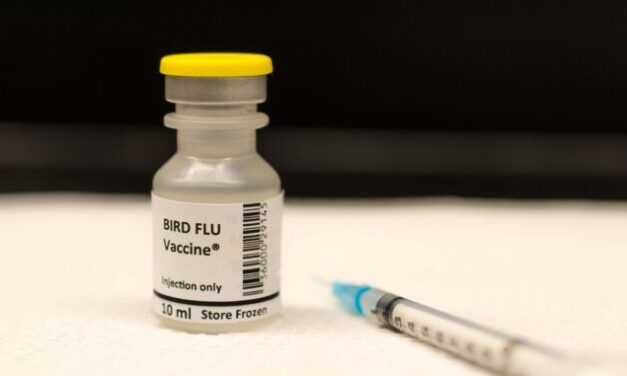 UK Govt Buys Millions Of Doses Of New Bird Flu Vaccine Amid Pandemic Fears