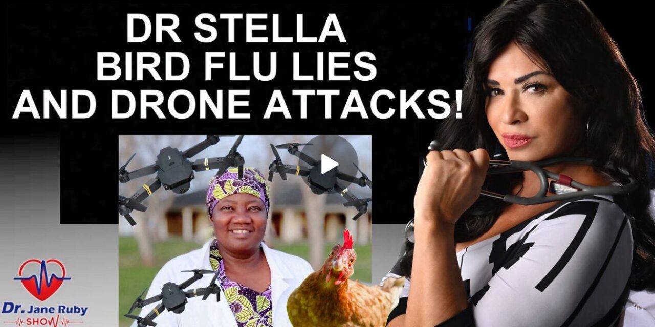 DR STELLA ON BIRD FLU LIES AND DRONE ATTACKS