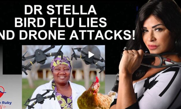 DR STELLA ON BIRD FLU LIES AND DRONE ATTACKS