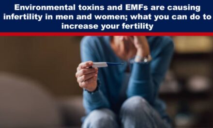 Environmental toxins and EMFs are causing infertility in men and women; what you can do to increase your fertility