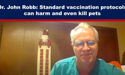 Dr. John Robb: Standard vaccination protocols can harm and even kill pets