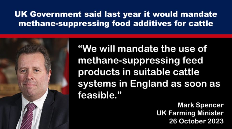 UK Government said last year it would mandate methane-suppressing food additives for cattle