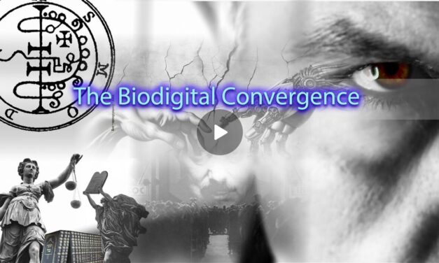 Biodigital Convergence