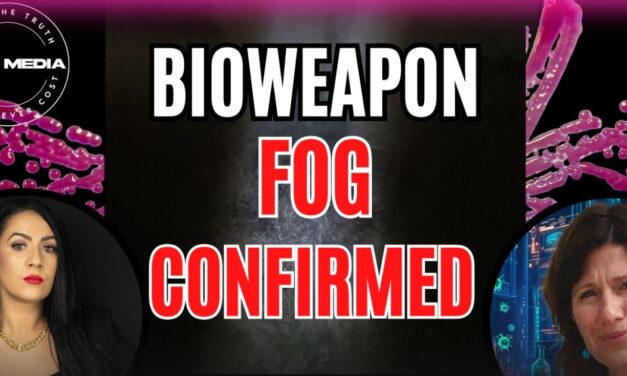 Bioweapon Fog Confirmed – Lisa McGee