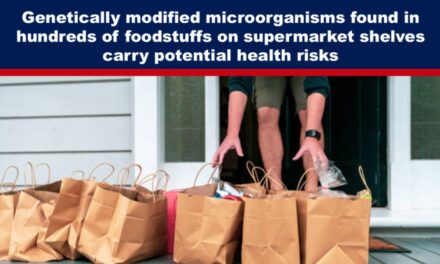 Genetically modified microorganisms found in hundreds of foodstuffs on supermarket shelves carry potential health risks