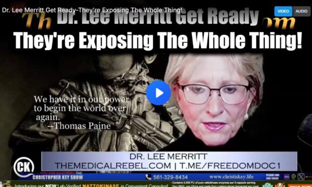 Dr. Lee Merritt Get Ready-They’re Exposing The Whole Thing!